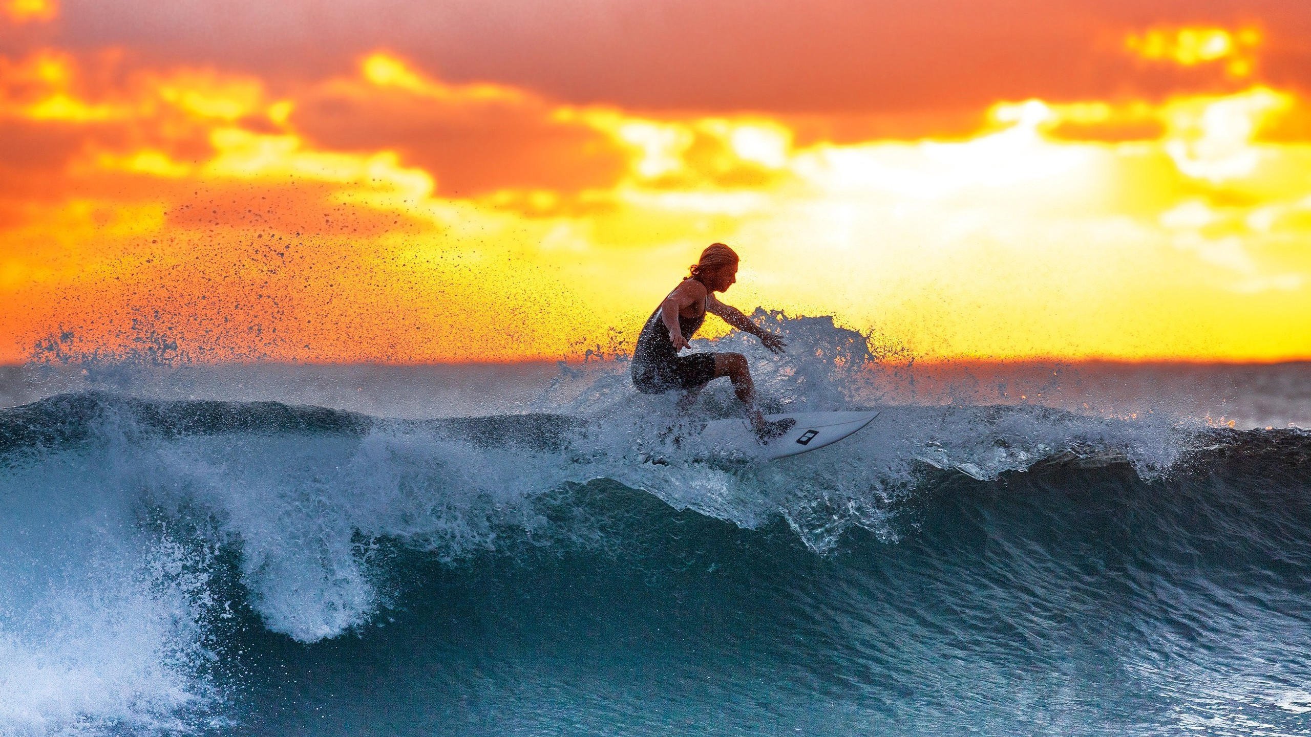 世界短道速滑赛季冠军颁奖仪式举行，世界短道速滑冠军是谁